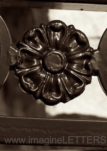 Wall_Art_Alphabet_Photography_Art_ 1580.jpg